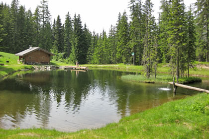 Teich mit Hütte